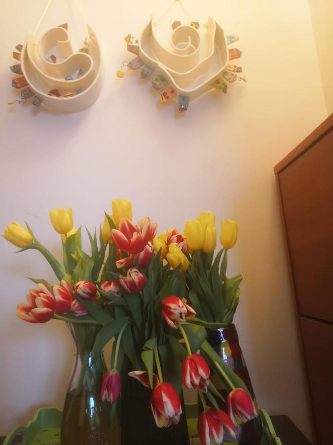 Apartments M&R Spadina ヴォディツェ エクステリア 写真